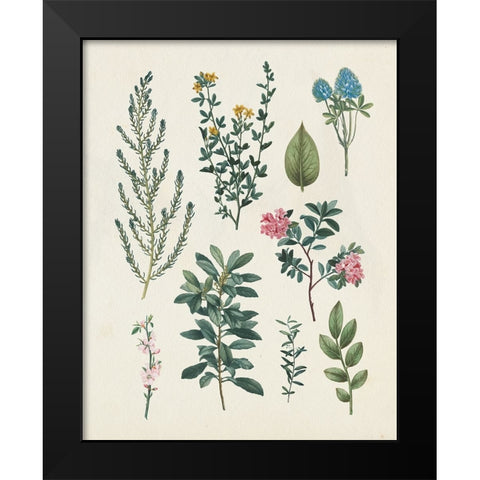 Victorian Garden VI Light Black Modern Wood Framed Art Print by Portfolio, Wild Apple