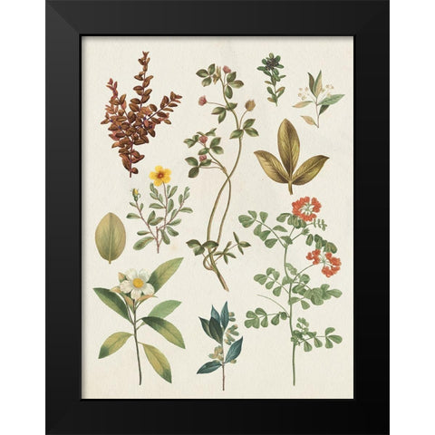 Victorian Garden III Autumn Crop I Black Modern Wood Framed Art Print by Wild Apple Portfolio