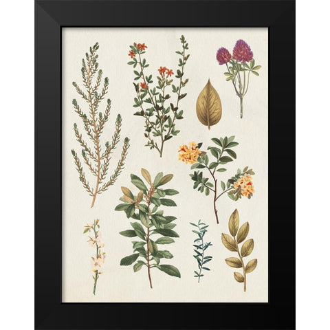Victorian Garden III Autumn Crop II Black Modern Wood Framed Art Print by Wild Apple Portfolio