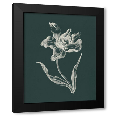 Eden Tulips I Black Modern Wood Framed Art Print with Double Matting by Wild Apple Portfolio