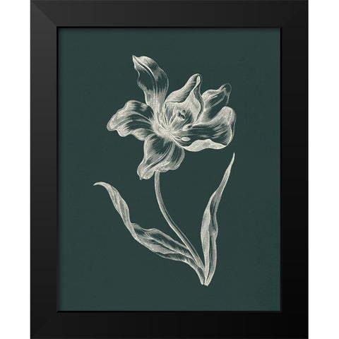 Eden Tulips I Black Modern Wood Framed Art Print by Wild Apple Portfolio