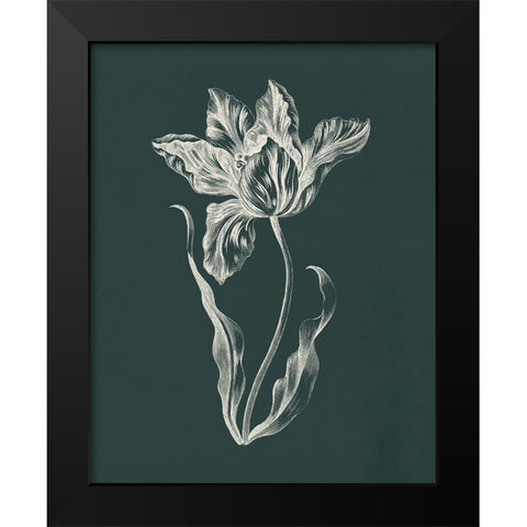 Eden Tulips II Black Modern Wood Framed Art Print by Wild Apple Portfolio