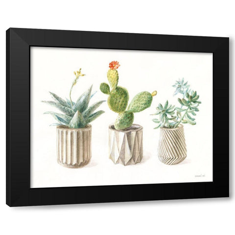 Desert Greenhouse IX Black Modern Wood Framed Art Print with Double Matting by Nai, Danhui