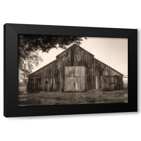 Hiding from the Rain Black Modern Wood Framed Art Print by Larson, Nathan