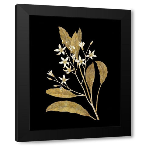 Gold Botanical V on Black Black Modern Wood Framed Art Print by Wild Apple Portfolio