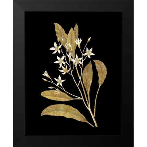 Gold Botanical V on Black Black Modern Wood Framed Art Print by Wild Apple Portfolio