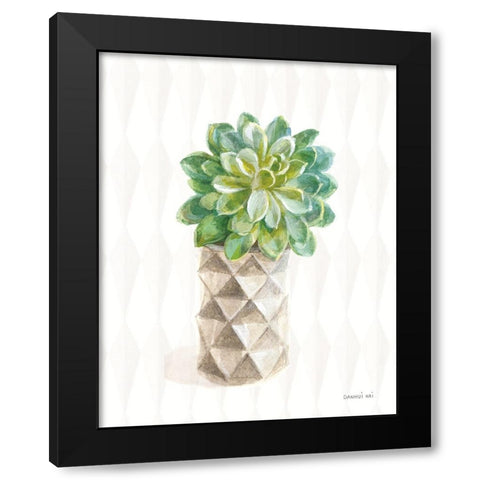 Desert Greenhouse XVIII Black Modern Wood Framed Art Print with Double Matting by Nai, Danhui