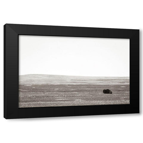 Badlands Guard Black Modern Wood Framed Art Print by Larson, Nathan