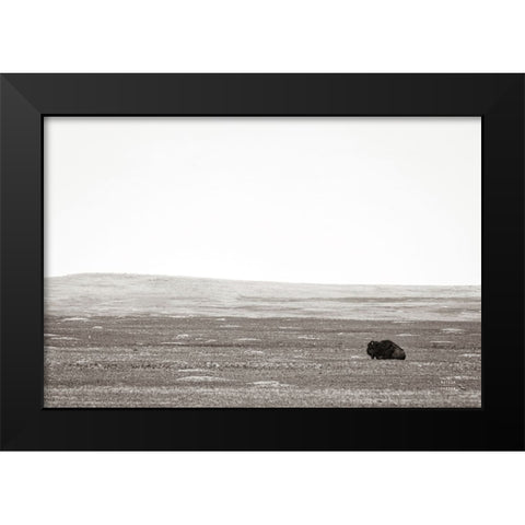 Badlands Guard Black Modern Wood Framed Art Print by Larson, Nathan