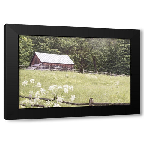 Summer Farm I Black Modern Wood Framed Art Print with Double Matting by Schlabach, Sue