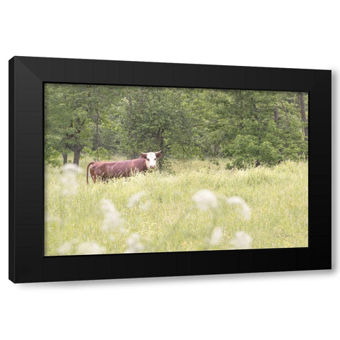 Summer Farm II Black Modern Wood Framed Art Print with Double Matting by Schlabach, Sue