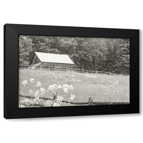 Summer Farm I BW Black Modern Wood Framed Art Print with Double Matting by Schlabach, Sue