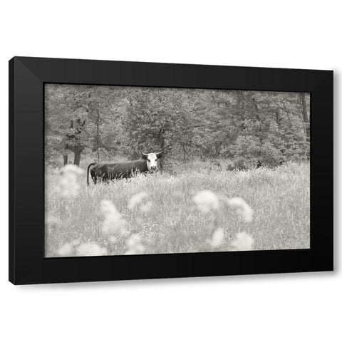 Summer Farm II BW Black Modern Wood Framed Art Print with Double Matting by Schlabach, Sue