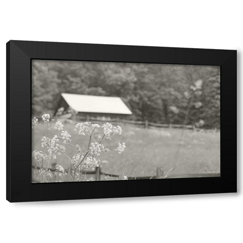 Summer Farm III BW Black Modern Wood Framed Art Print with Double Matting by Schlabach, Sue