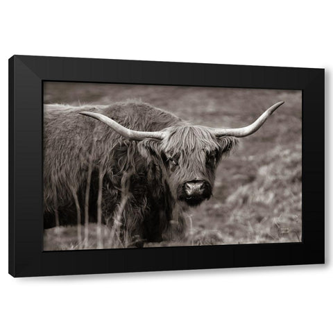 Highland Spring Black Modern Wood Framed Art Print with Double Matting by Larson, Nathan