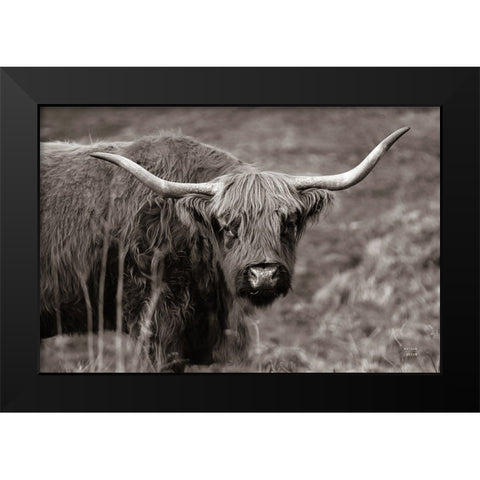 Highland Spring Black Modern Wood Framed Art Print by Larson, Nathan