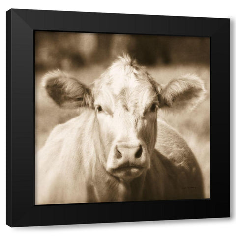 Pasture Cow Sepia Sq Black Modern Wood Framed Art Print by Van Swearingen, Debra