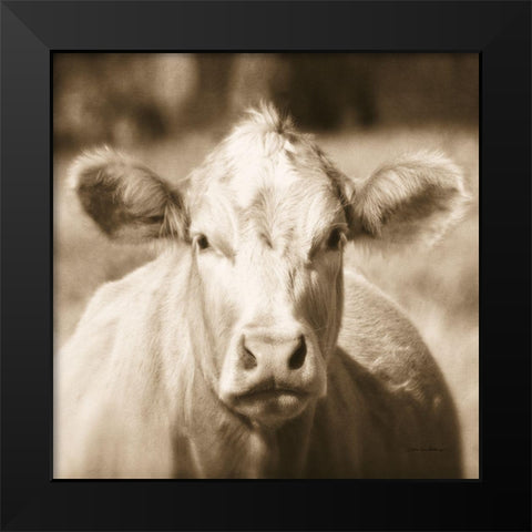 Pasture Cow Sepia Sq Black Modern Wood Framed Art Print by Van Swearingen, Debra