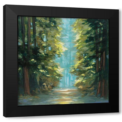 Sunlit Forest Black Modern Wood Framed Art Print with Double Matting by Purinton, Julia
