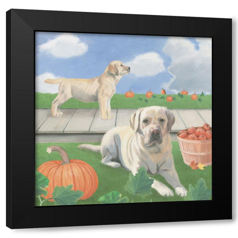 Fall at the Farm II Black Modern Wood Framed Art Print with Double Matting by Wiens, James