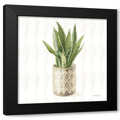 Desert Greenhouse XVI Sq Black Modern Wood Framed Art Print by Nai, Danhui