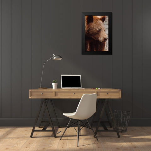 Bear Profile I Black Modern Wood Framed Art Print by Larson, Nathan