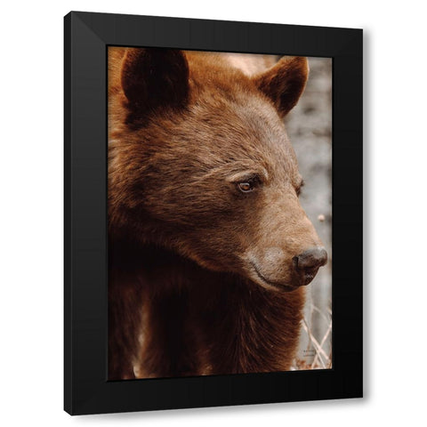 Bear Profile I Black Modern Wood Framed Art Print by Larson, Nathan