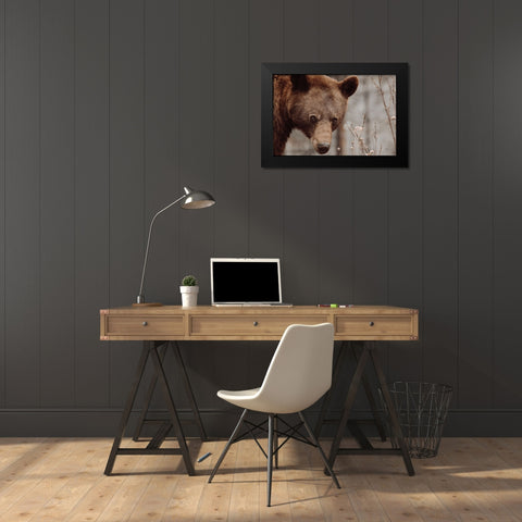 Bear Profile II Black Modern Wood Framed Art Print by Larson, Nathan