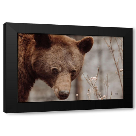 Bear Profile II Black Modern Wood Framed Art Print with Double Matting by Larson, Nathan