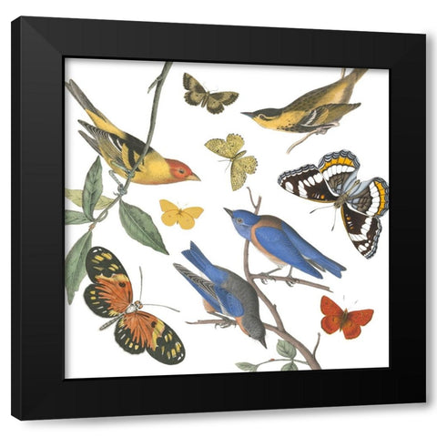 Natures Flight I No Ferns Black Modern Wood Framed Art Print by Portfolio, Wild Apple