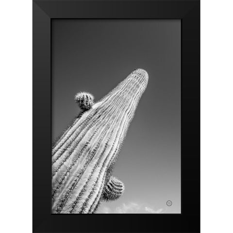 King I v2 Black Modern Wood Framed Art Print by Larson, Nathan