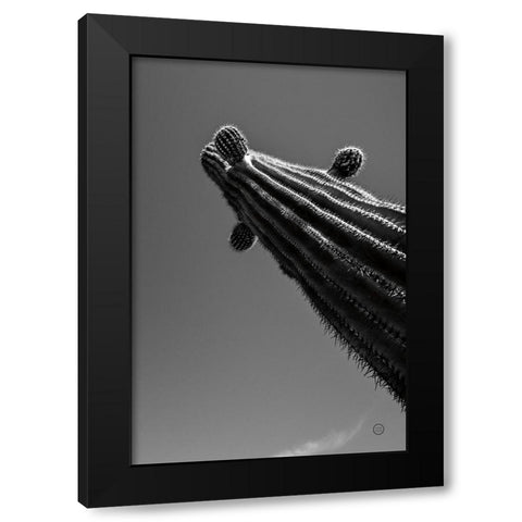 King II v2 Black Modern Wood Framed Art Print by Larson, Nathan