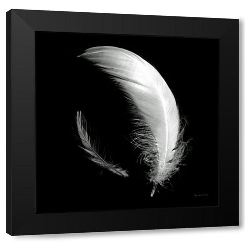 Dream Feathers Sq Black Modern Wood Framed Art Print by Goldstein, Ed