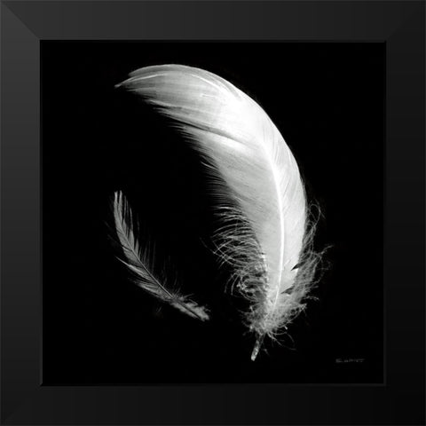 Dream Feathers Sq Black Modern Wood Framed Art Print by Goldstein, Ed