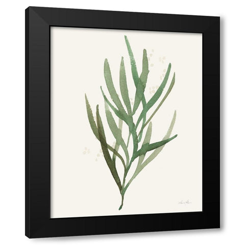Leaf and Stem VII Black Modern Wood Framed Art Print by Horn, Laura