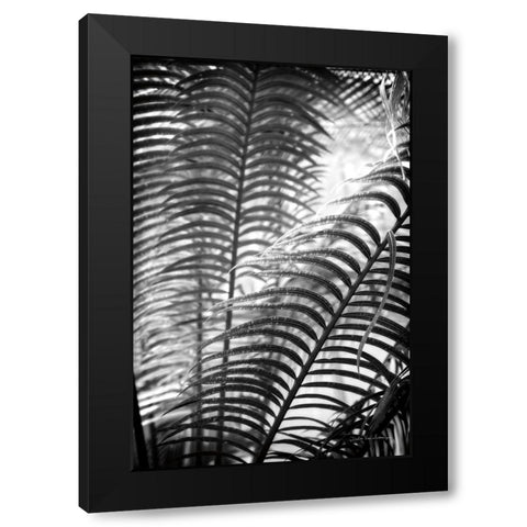 Sunlit Palms II Black Modern Wood Framed Art Print by Van Swearingen, Debra