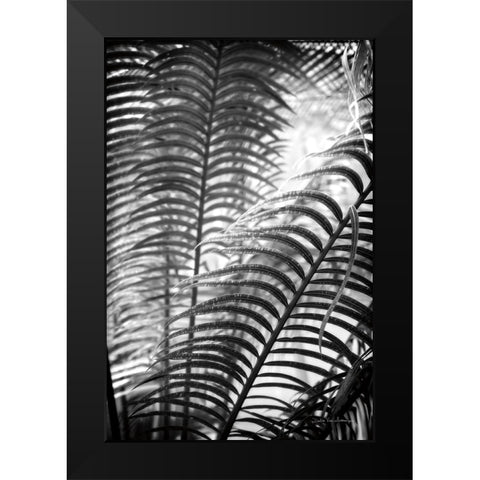 Sunlit Palms II Black Modern Wood Framed Art Print by Van Swearingen, Debra