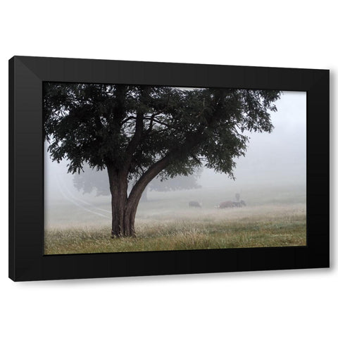 Morning Fog II Black Modern Wood Framed Art Print with Double Matting by Van Swearingen, Debra