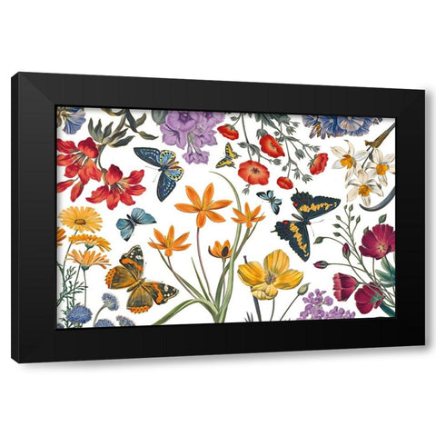 Butterfly Garden VI Black Modern Wood Framed Art Print by Portfolio, Wild Apple