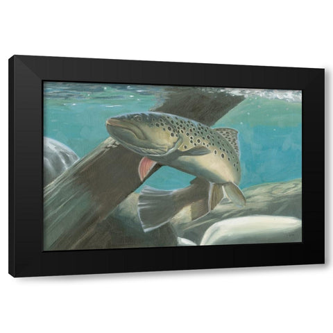 Fresh Catch I Black Modern Wood Framed Art Print with Double Matting by Wiens, James