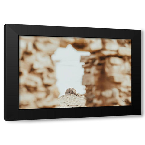 Through Ruins Black Modern Wood Framed Art Print by Larson, Nathan