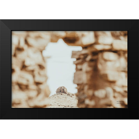 Through Ruins Black Modern Wood Framed Art Print by Larson, Nathan