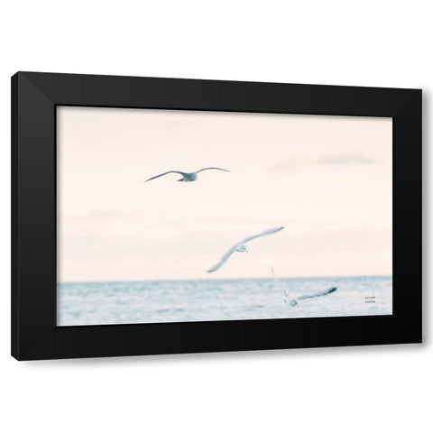 Sunset Flocks Black Modern Wood Framed Art Print by Larson, Nathan