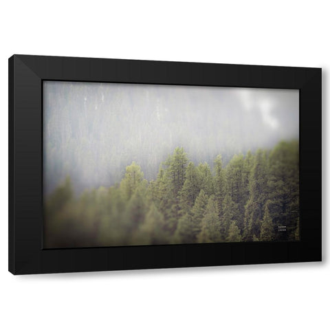 Northern Forests Black Modern Wood Framed Art Print with Double Matting by Larson, Nathan