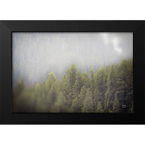 Northern Forests Black Modern Wood Framed Art Print by Larson, Nathan