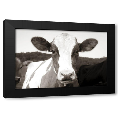 At the Barn Black Modern Wood Framed Art Print with Double Matting by Larson, Nathan