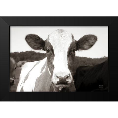 At the Barn Black Modern Wood Framed Art Print by Larson, Nathan