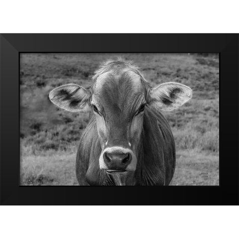 Dairy Barn BW Black Modern Wood Framed Art Print by Larson, Nathan