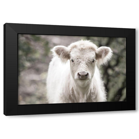 White Calf Black Modern Wood Framed Art Print with Double Matting by Larson, Nathan