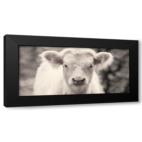 White Calf Panel Black Modern Wood Framed Art Print with Double Matting by Larson, Nathan